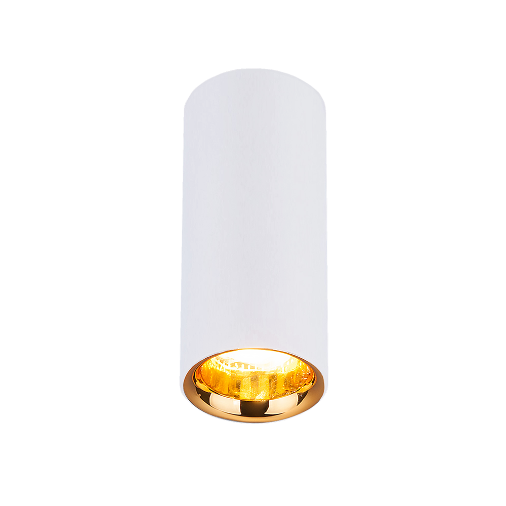Накладной потолочный светодиодный светильник_x000D_
DLR030 12W 4200K белый матовый/золото